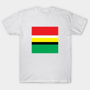 Guyana Color Block National Colors T-Shirt